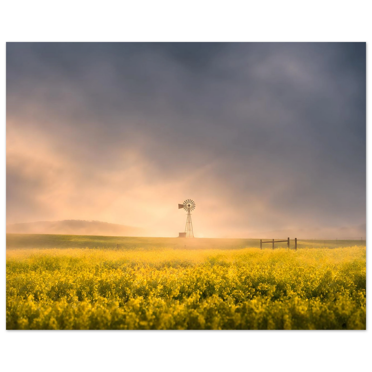 2ab27e6d-7132-4d30-b239-c27815a76c25