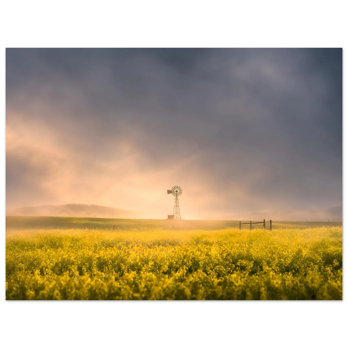 9ce46995-dd0f-450b-a0b8-53b477812ea6
